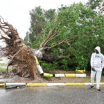 Aumentan a 20 los muertos en Haití por las lluvias del huracán Melissa