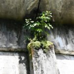 Minerd define metas educativas para 2026 con énfasis en infraestructura escolar, retención estudiantil y mejora de la calidad educativa